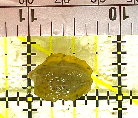 Yellow Boxfish YB042803 WYSIWYG Size: S 1" approx