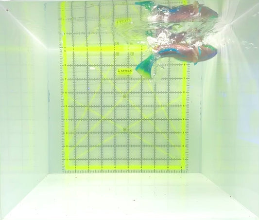 Princess Parrotfish PP112302 WYSIWYG Size: XL 6"