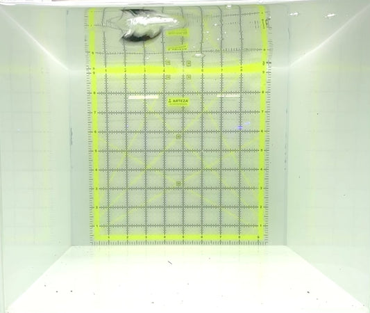 Green Mandarin Dragonet GMD112302 WYSIWYG Size: S 1.5"