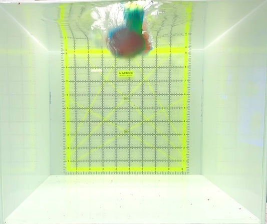 Princess Parrotfish PP112301 WYSIWYG Size: XL 6"