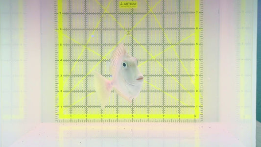 Unicorn Tang UT102802 WYSIWYG Size: XL 6.75" approx