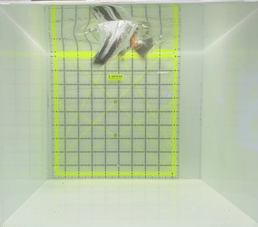 Naso Tang NT112303 WYSIWYG Size: XL 6.5"