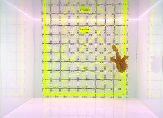 Angler A111301 WYSIWYG Size: ML 3.5"