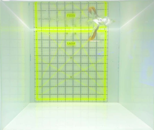 Multibar Angelfish MA112202 WYSIWYG Size: 2.5"