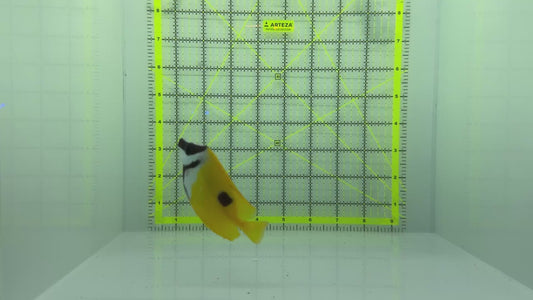 Onespot Foxface OF102301 WYSIWYG Size: M 3.5" approx