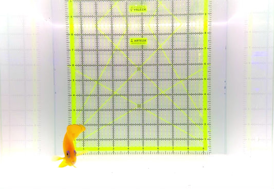 Lemonpeel Angelfish LA110203 WYSIWYG Size: L 3.5" approx