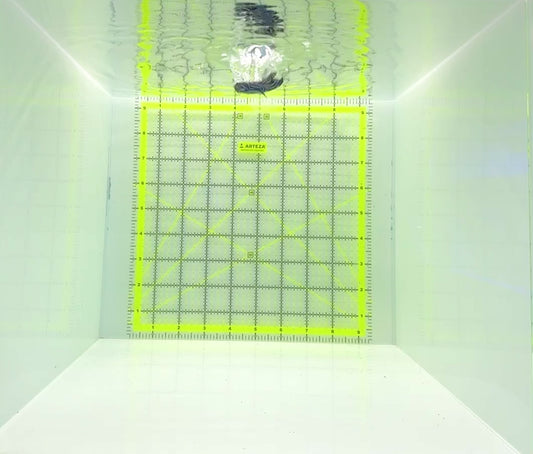 Emperor Angelfish Juvenile EAJ112201 WYSIWYG Size: S 2"