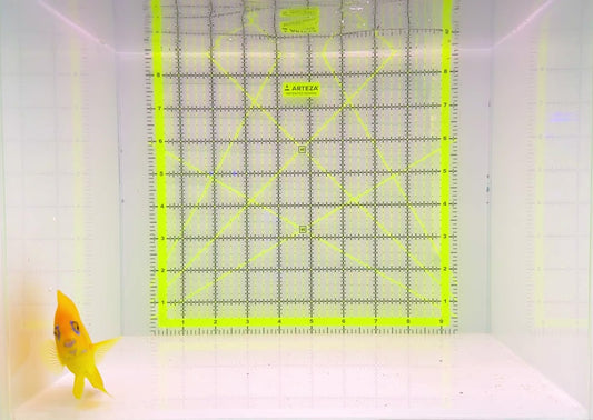 Lemonpeel Angelfish LA110201 WYSIWYG Size: L 3.75" approx