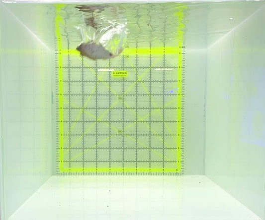 Dogface PufferFish DP112303 WYSIWYG Size: M 3.5"