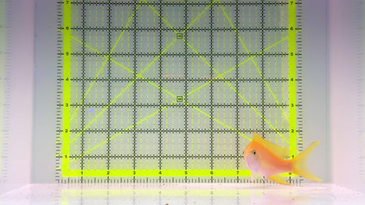 Squareback Anthias (Female) SAF102401 WYSIWYG Size: XL 4.5"