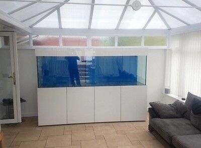 Aquarium Design Consultation